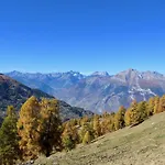 In Near Slopes *